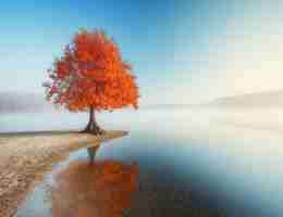 精‌准‍网‍站​日‍志‍分‍析‍方﻿案‍